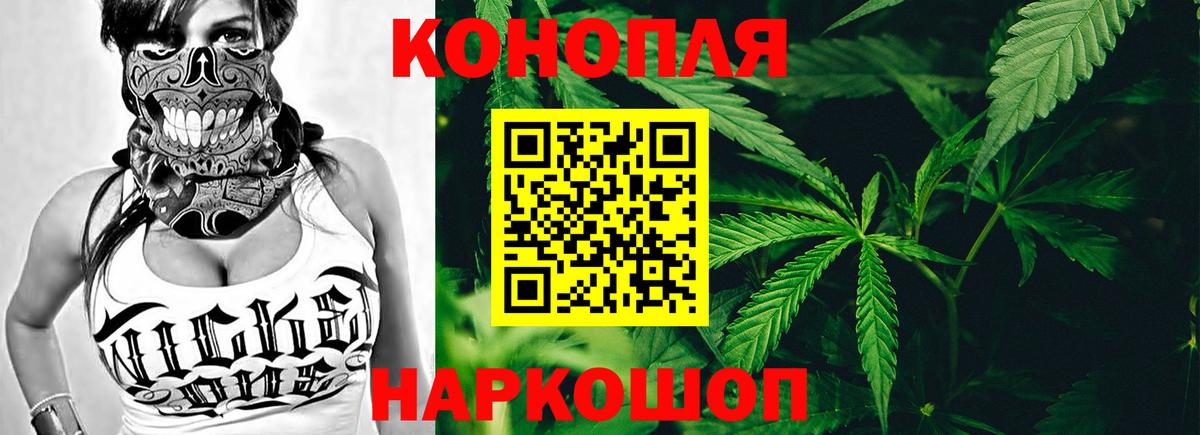 Керчь  Бошки марихуана сатива  Бошки Шишки планчик  Бошки марихуана план  Вход с VPN 